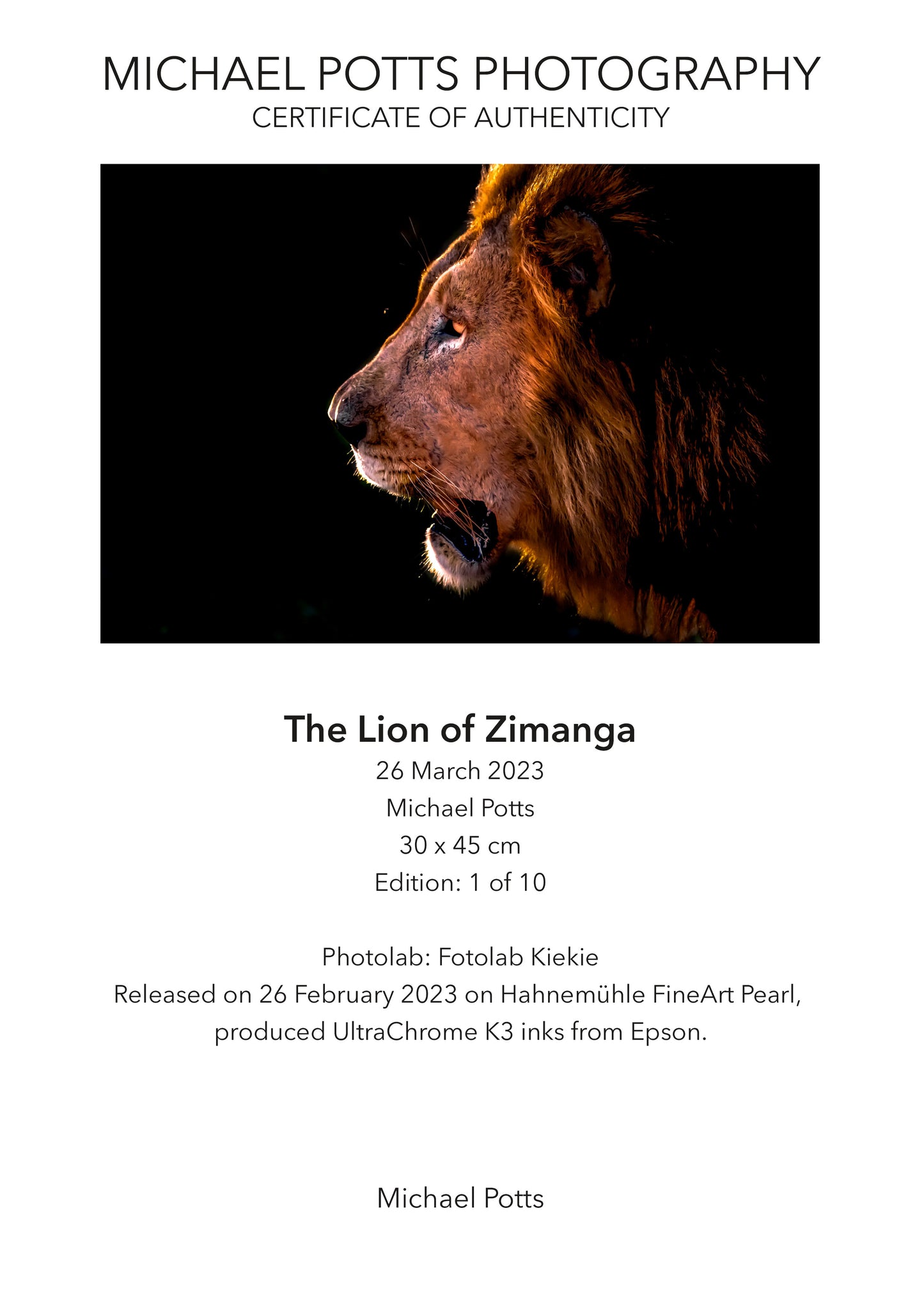 The Lion of Zimanga